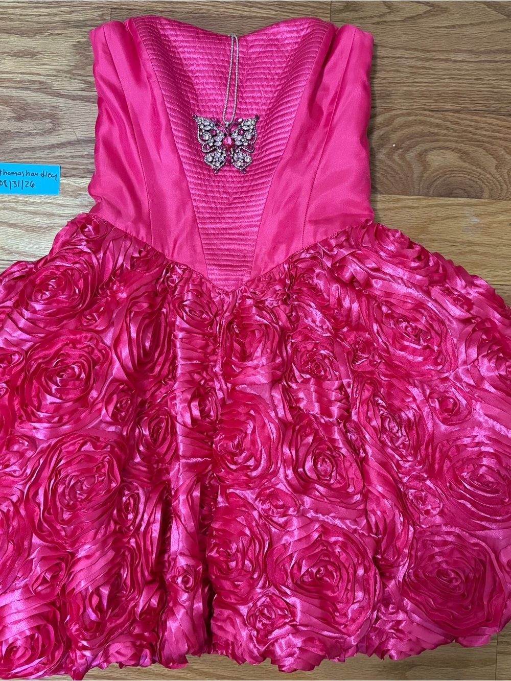 Betsey Johnson Pink Rose Topiary Dress and Butterfly Pendant ASO Chappell Roan